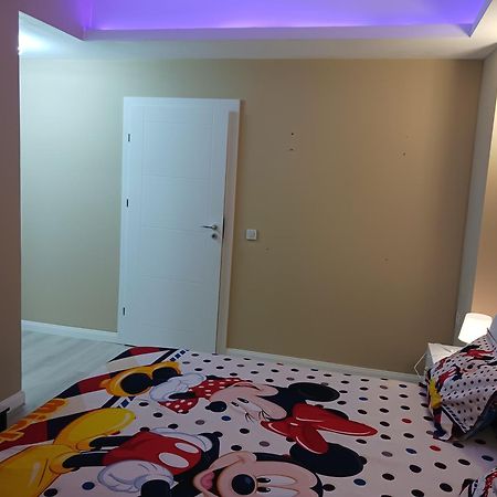 Апартаменты Myky Mouse Nu Primesc Santieristi Si Petrecareti Бухарест Экстерьер фото