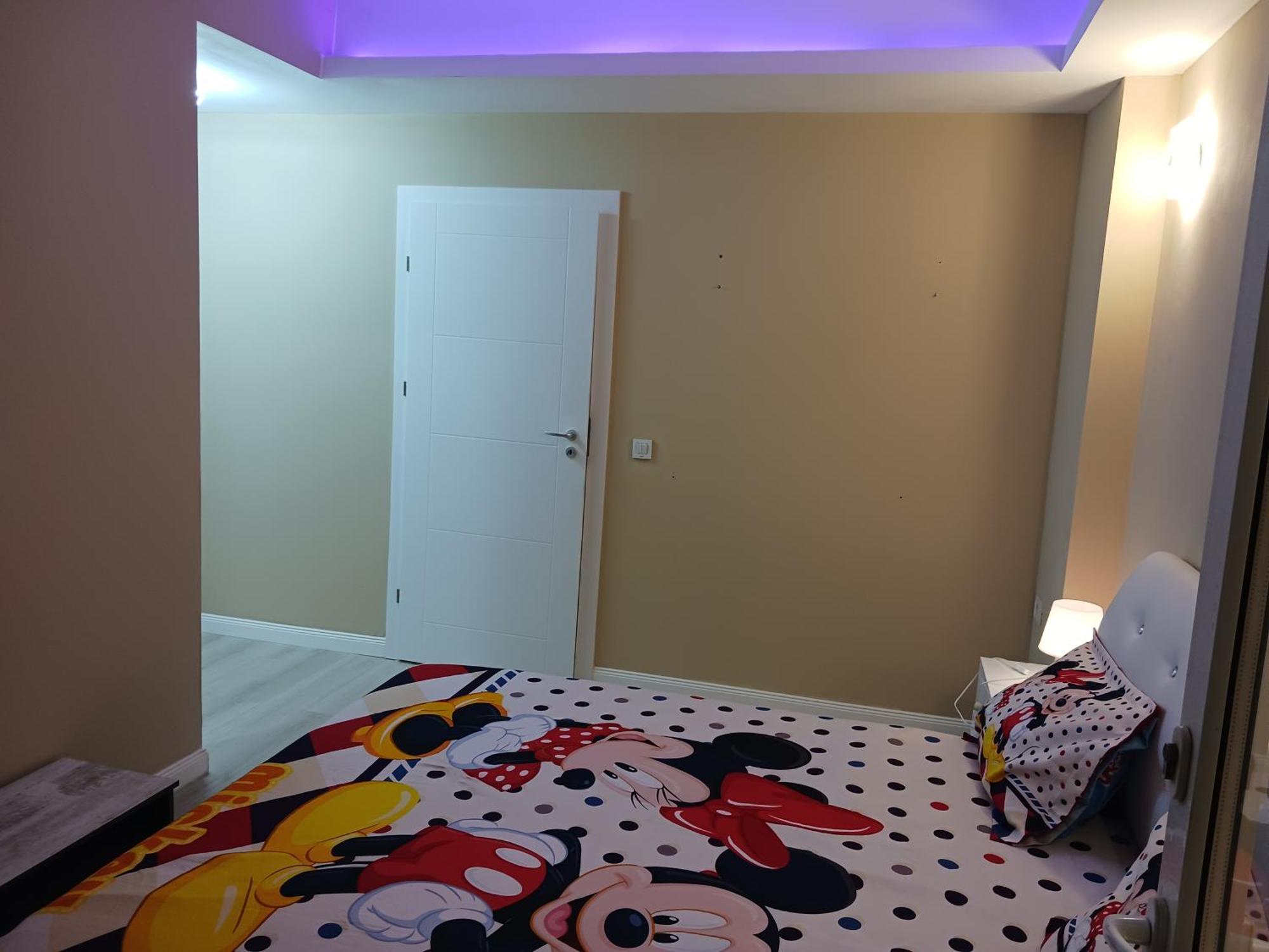 Апартаменты Myky Mouse Nu Primesc Santieristi Si Petrecareti Бухарест Экстерьер фото