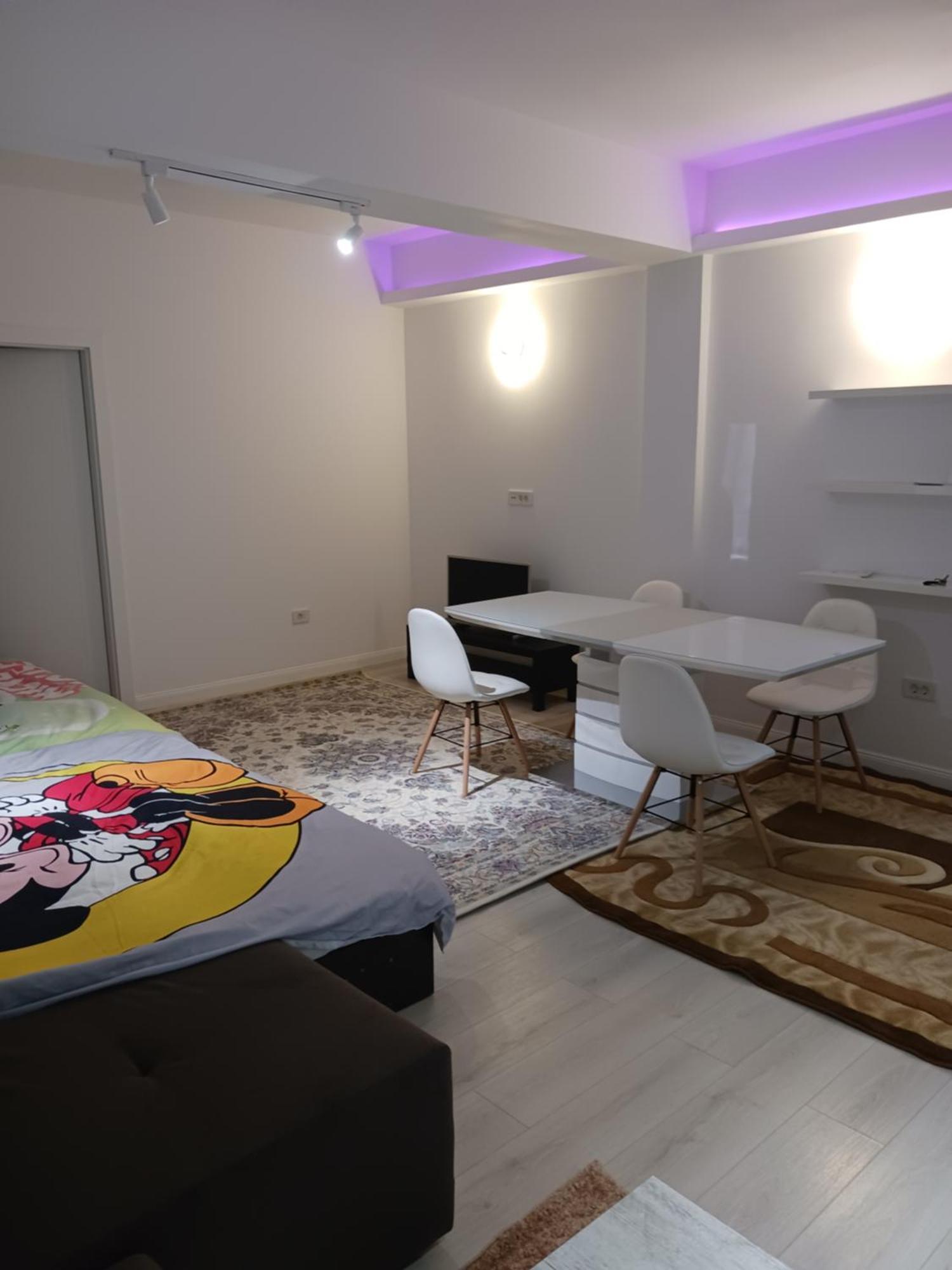 Апартаменты Myky Mouse Nu Primesc Santieristi Si Petrecareti Бухарест Экстерьер фото
