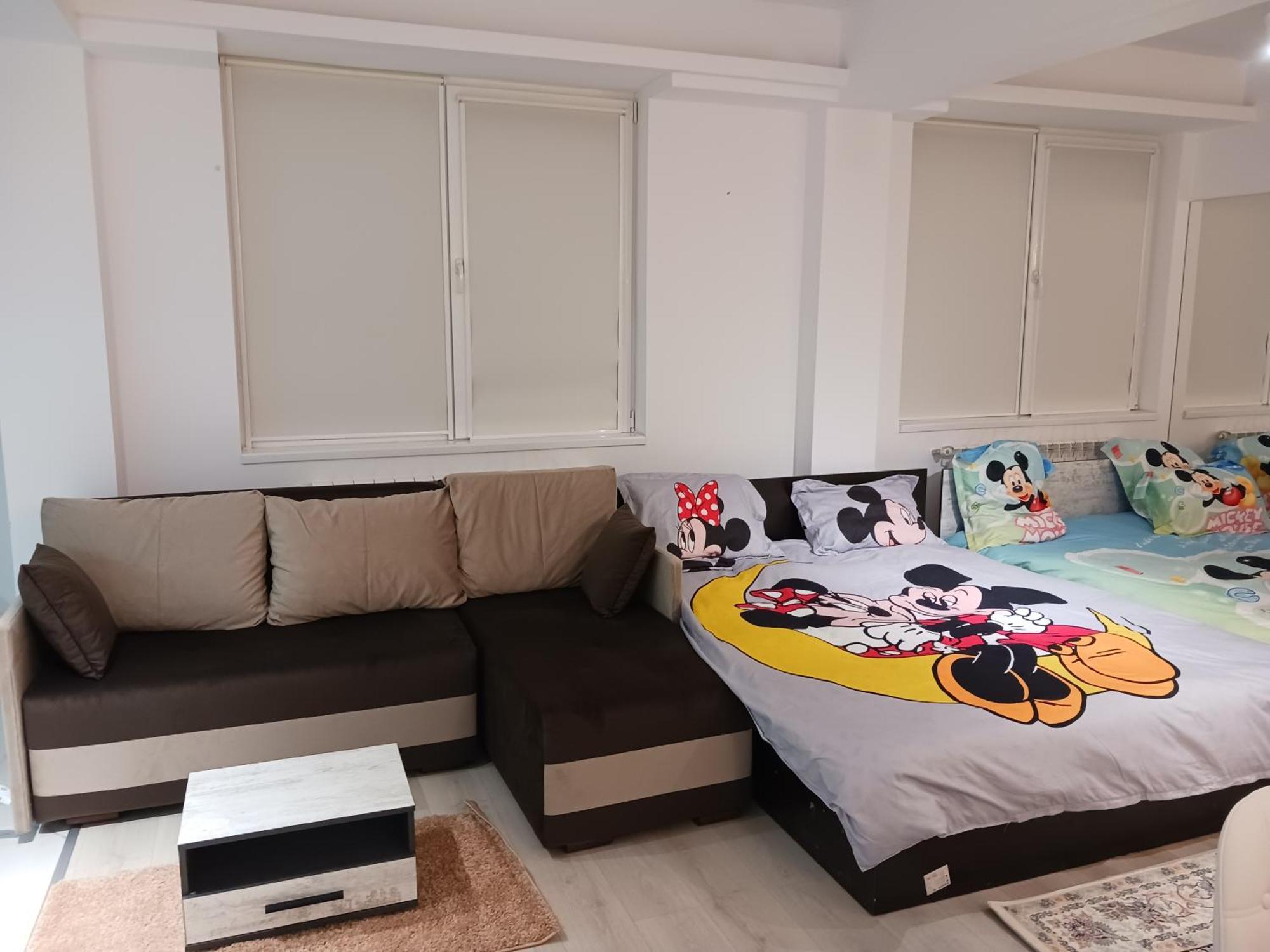 Апартаменты Myky Mouse Nu Primesc Santieristi Si Petrecareti Бухарест Экстерьер фото