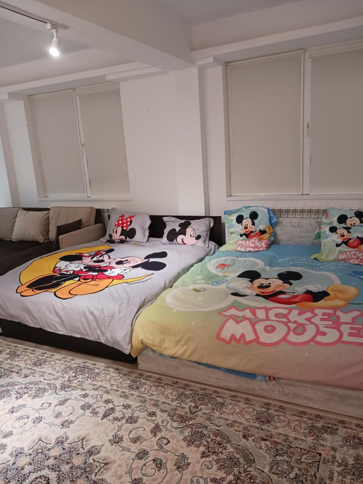 Апартаменты Myky Mouse Nu Primesc Santieristi Si Petrecareti Бухарест Экстерьер фото