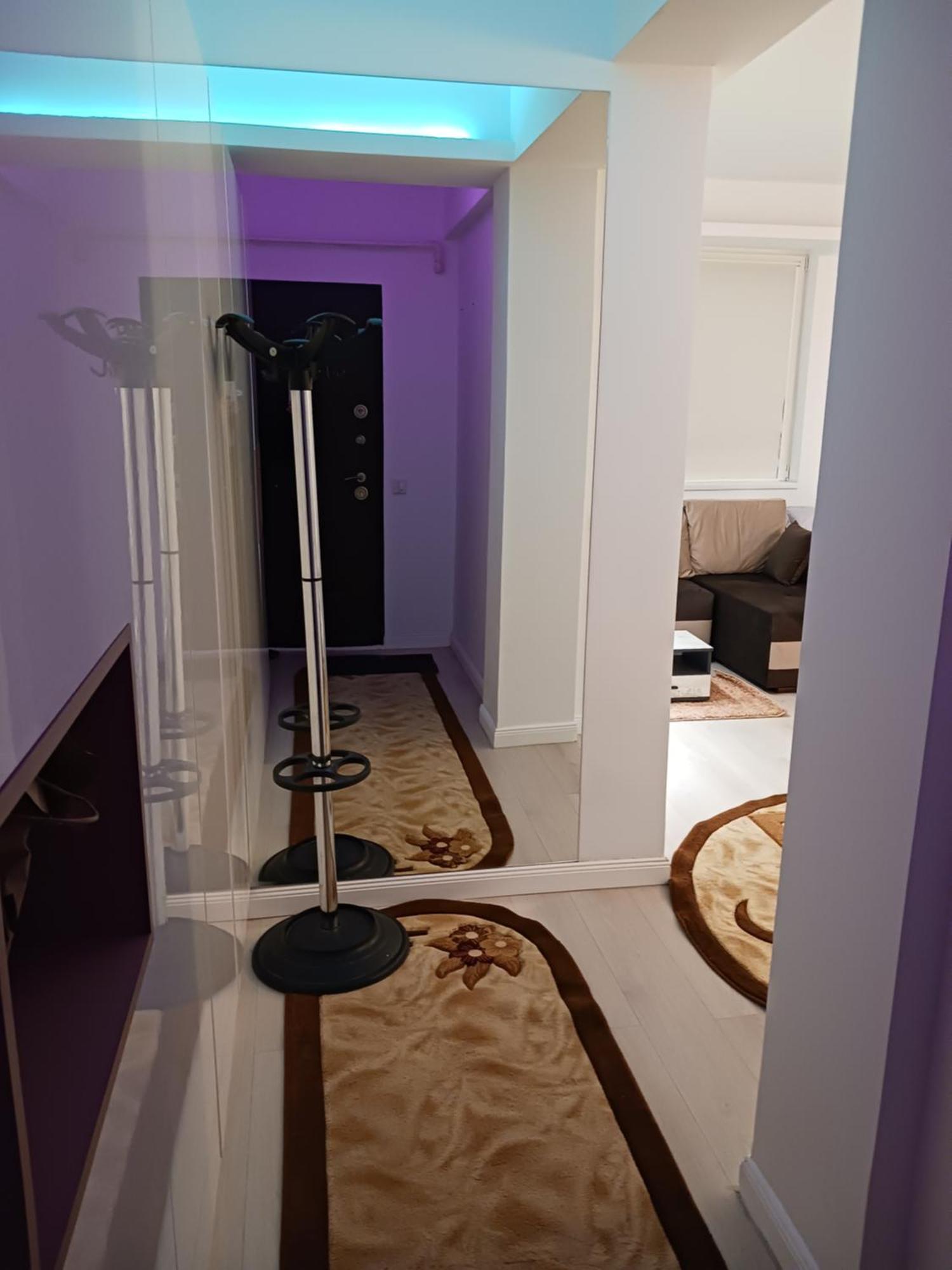 Апартаменты Myky Mouse Nu Primesc Santieristi Si Petrecareti Бухарест Экстерьер фото