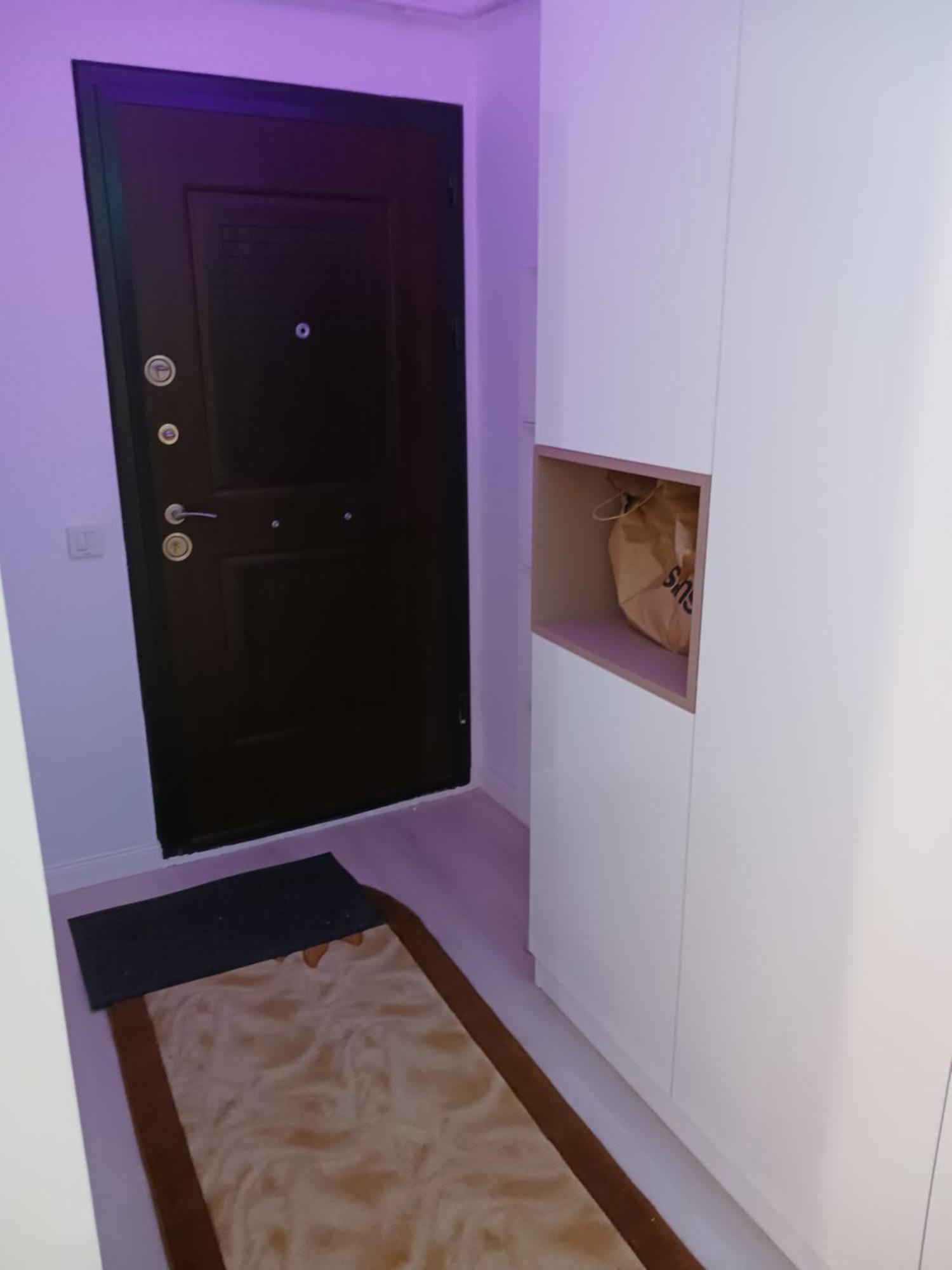 Апартаменты Myky Mouse Nu Primesc Santieristi Si Petrecareti Бухарест Экстерьер фото