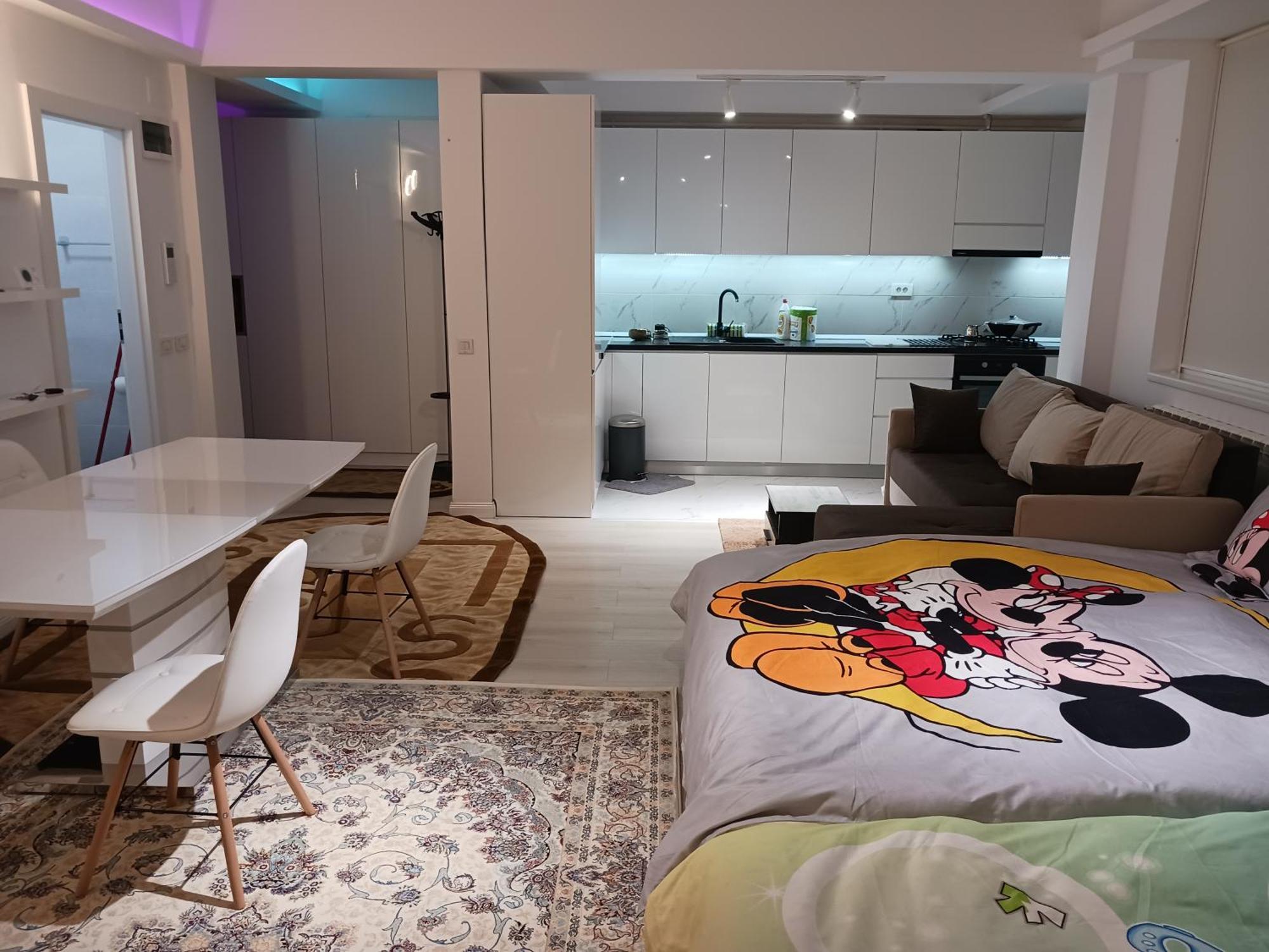 Апартаменты Myky Mouse Nu Primesc Santieristi Si Petrecareti Бухарест Экстерьер фото