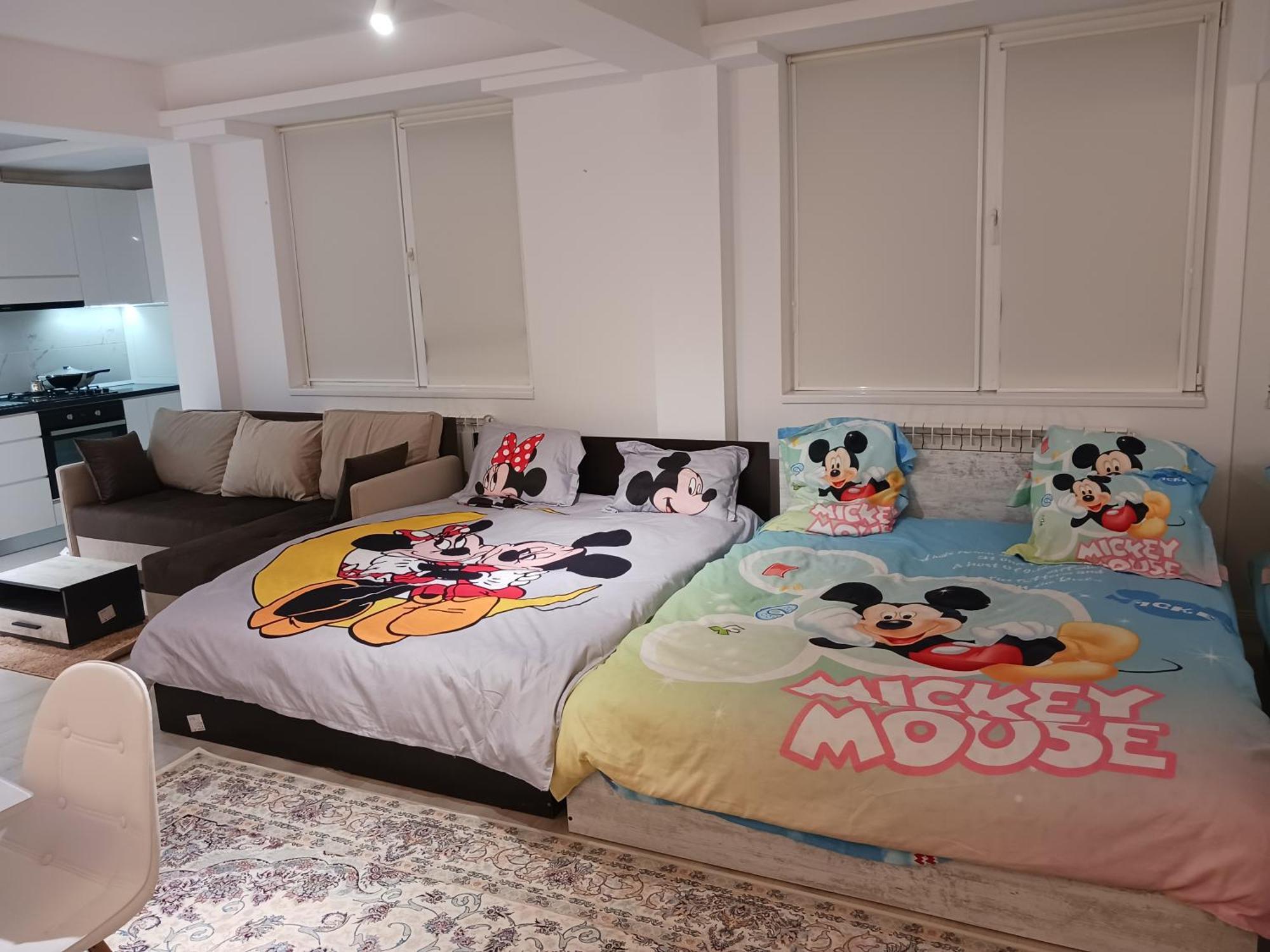 Апартаменты Myky Mouse Nu Primesc Santieristi Si Petrecareti Бухарест Экстерьер фото